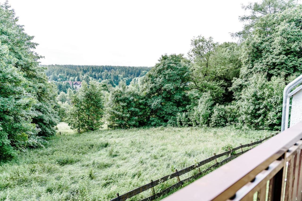 Wiesenblick Goslar Kültér fotó